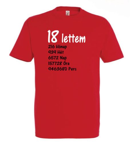 Születésnapi póló - 18 Lettem