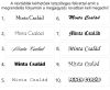 Utcanévtábla standard kivitelben, 4 féle színválasztékkal