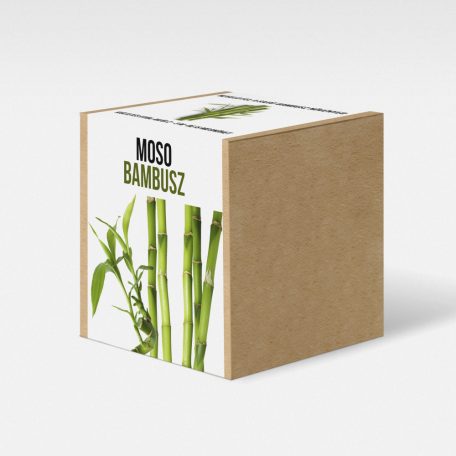 Moso bambusz növény nevelő szett, Moso bambusz növény nevelő szett