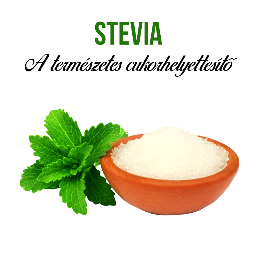 Stevia növény nevelő szett, Stevia növény nevelő szett