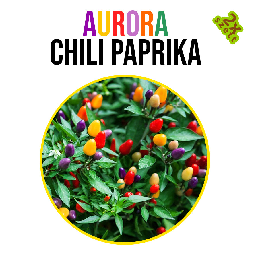 Aurora chili paprika növény nevelő szett, Aurora chili paprika növény nevelő szett