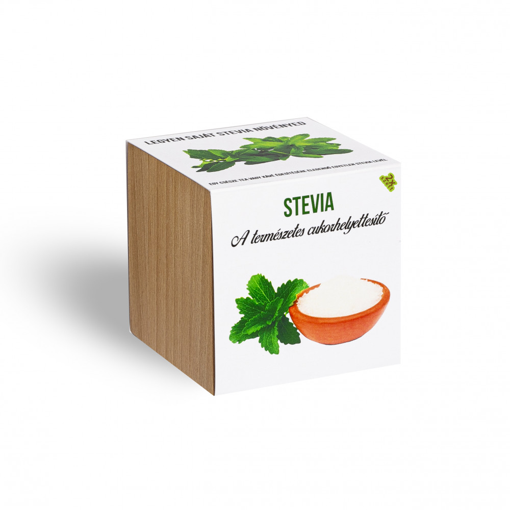Stevia növényem fa kockában, Stevia növényem fa kockában